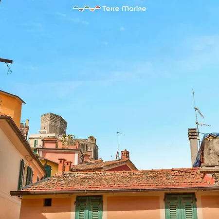 Hublot, Terre Marine